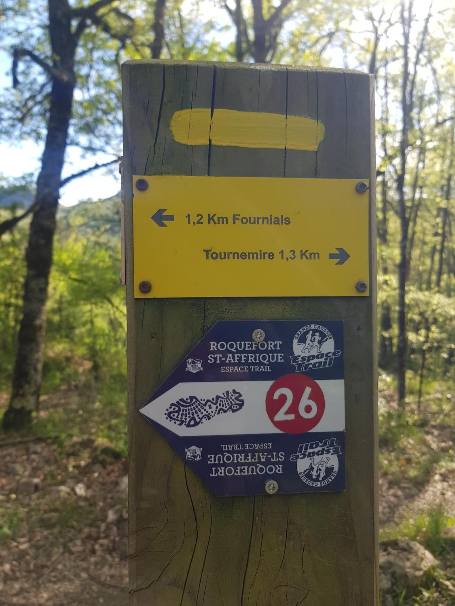 Gite Aux Tourterelles Tournemire  Екстер'єр фото